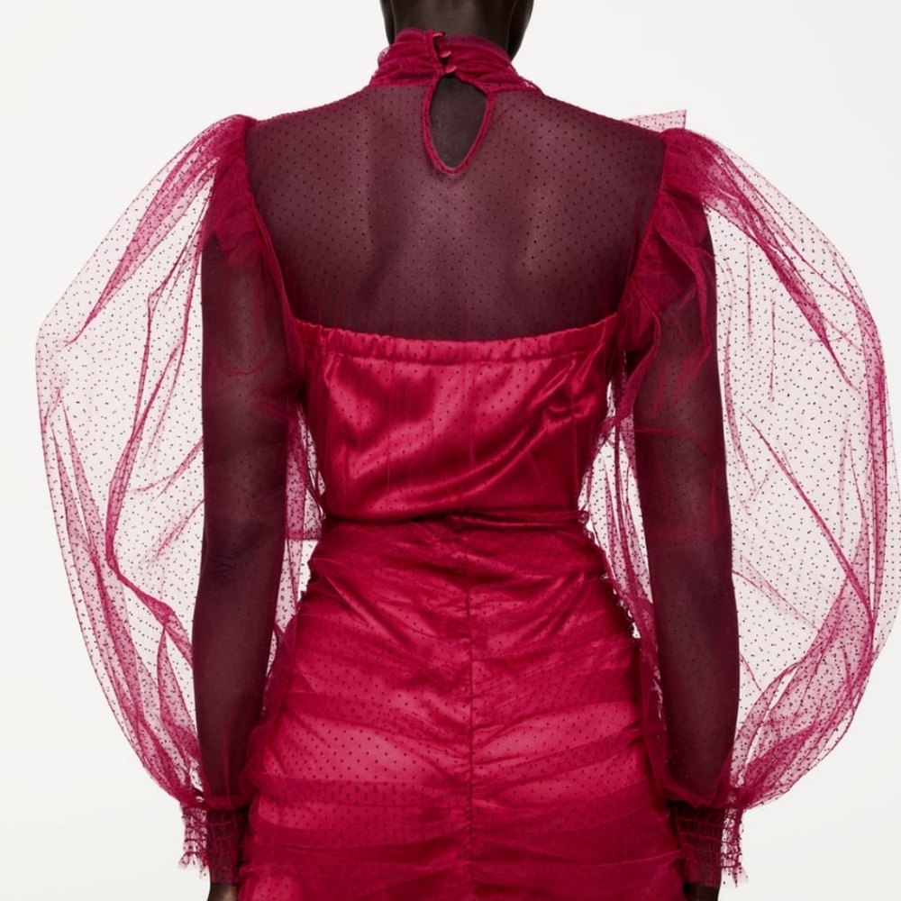 ZARA | Bloggers Fave Tulle Swiss Dot Dress Fuchsia - Picture 15 of 16